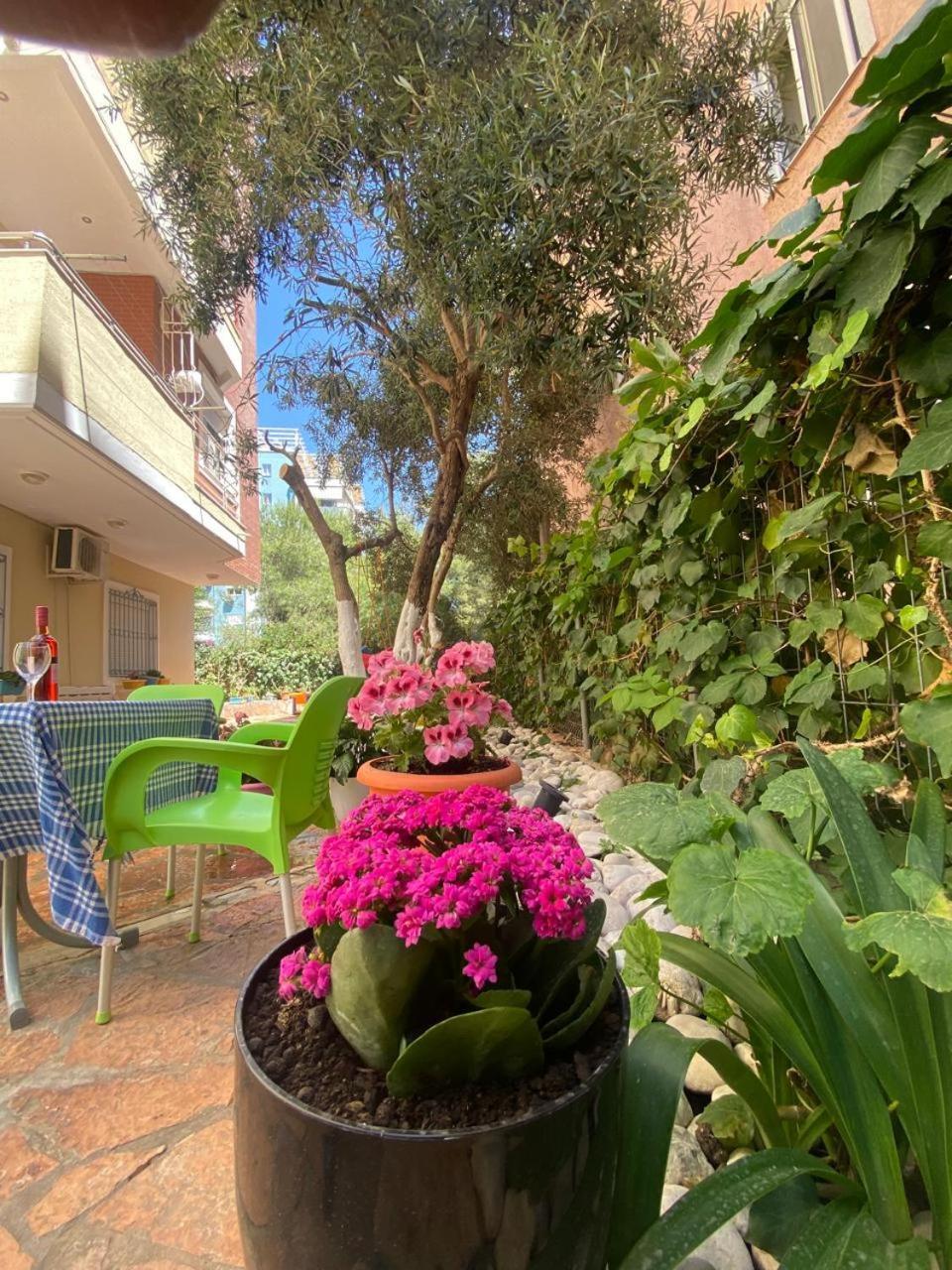 Olive Tree Apartment Саранда Экстерьер фото